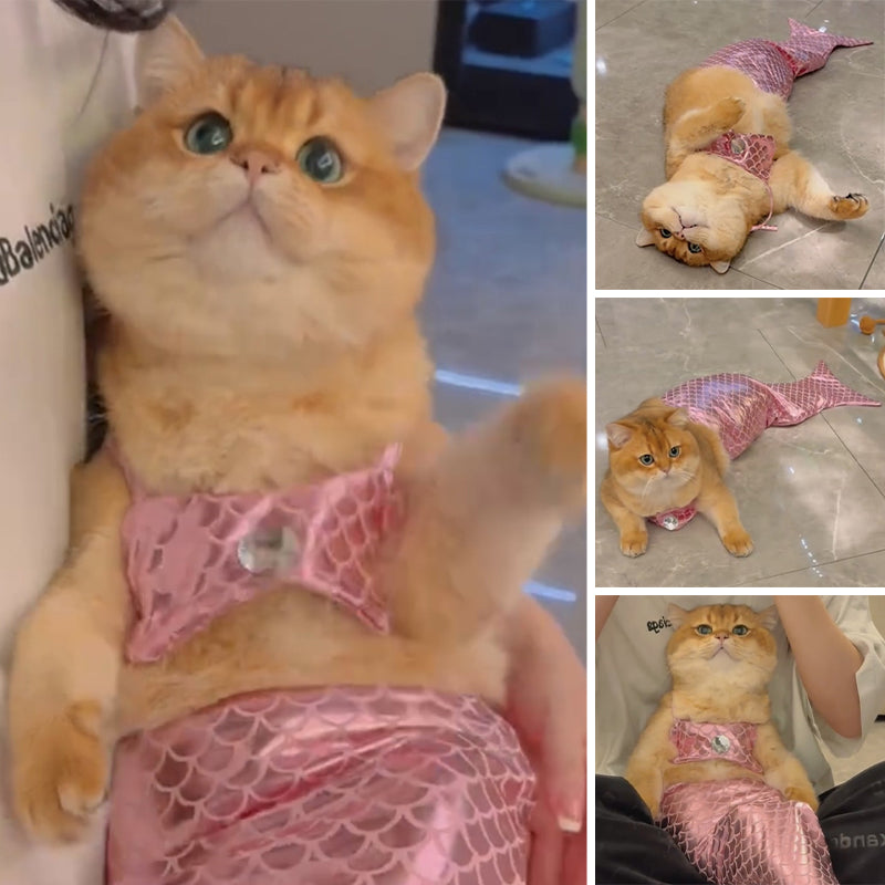 Lustige Meerjungfrauen-Kleidung für Katzen