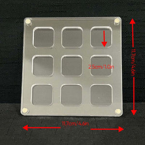 Acryl-Präsentationsbox mit Muscheln