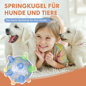 Springkugel für Hunde und Tiere