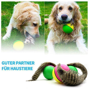 Biber Ball für Haustier - hallohaus