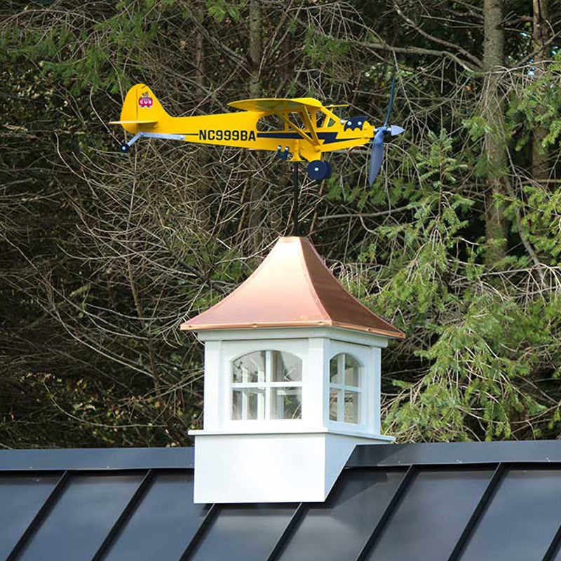 Flugzeug Wetterfahne