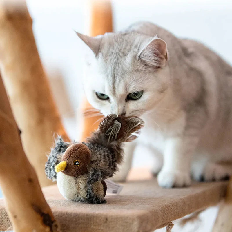 Katzenspielzeug - Simulierter zwitschernder Vogel